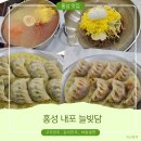 홍학로 | [홍성 맛집] 만두 덕후 성지! '늘빚담' 솔직 후기!