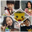 타이거킥스 태권도장 이미지