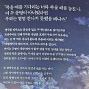 여명차이나 | 네가 유성처럼 스러지는 모습을 지켜볼 운명이었다(미나토 쇼 작)-간략 줄거리 및 후기