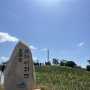 해파랑길관광안내소 | [부산] 오륙도 스카이워크 해파랑길 산책코스 수선화 언덕 방문후기