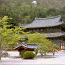 보림사 - 1223 | 보림사