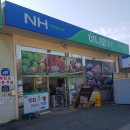 강화남부농업협동조합 불은지점 이미지