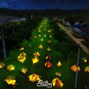 캠핑아일랜드 이미지