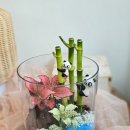 국립생태원동물병원 | 2025 서천 국립생태원 직무교육 전직원 테라리움 마음케어 힐링 프로그램