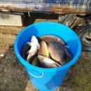 월곡낚시터 이미지