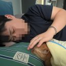 무난하다는 행복감에 젖은 4월