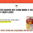 카피나라 이미지