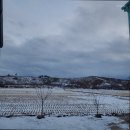 스테이 화소재 이미지