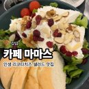 마마스카페 | 강남에서 브런치 맛집 찾는다면? 카페마마스 리코타치즈 샐러드 내돈내산 후기