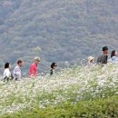 정읍상회 - 5899 | 정읍상회