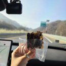 승리농장 | 거창 병곡 임불마을 수양벚꽃보고 해인사 찍고 청주 느좋 테라스카페 간 후기