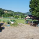 느티나무민박2 이미지