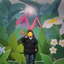 겨울 숲 탐험대 캠프(1~6) | [인천] '와일드 벅스 곤충탐험대' 실내 곤충 관람/체험 방문 후기!