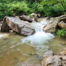 제 423차 충남 금산 성치산(648 m) 정기 산행 안내(’26.07.19) 이미지
