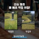 이백지 묘 | 용인 산소 벌초 대행 업체 잔디 풀 예초 작업 후기