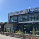 자작나무장어