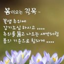 바보 의사 "장기려 박사" 이야기입니다. 이미지