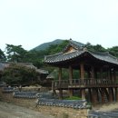 묵계2 Daum카페