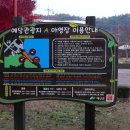 예당관광지 B-야영장 이미지