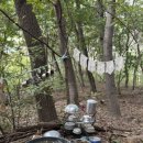 솔빛숲유치원 이미지