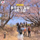 후쿠오카 벚꽃여행 4박 5일 일정 및 코스 총정리 (텐진, 하카타, 유후인, 다자이후)