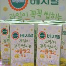 애플망고디자인 이미지