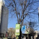 대박힐링오피스텔 | 마포사주 신촌사주 55분 꽉 채운 힐링철학원 1,100개 리뷰가 증명하는 찐 내공 후기, 예약 꿀팁!