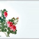 백초(여) 이미지