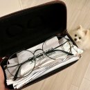 안경창고싸군부평아이즈빌점 이미지