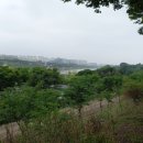 수지건강원 - 관악구 미성3길 17 | 수지건강원