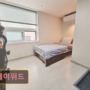 스테이 위드 신촌