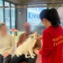 가나메디텍 네이버블로그