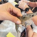 사천대교로 | 경남사천여행관광맛집 경남사천새우구이맛집 대교왕새우 내돈내산후기