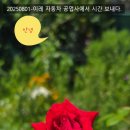 이레자동차공업사 이미지