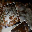 다섯테이블 이미지