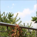 [종로여행] 인의예지의 서울성곽 스탬프투어 체험(낙산공원~흥인지문) 이미지