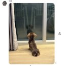 명가노래연습장 | 2026. 3-2