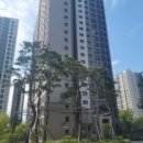 지에스25영종스타 이미지