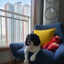 일오삼분식 이미지