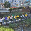 서울안암초등학교 이미지