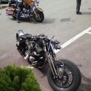 보리수하 이미지