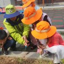 원천초병설유치원 이미지