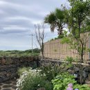 소제목 스테이 이미지