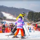 지산 | 지산 스키강습 예약 만족 방문 후기