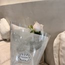 페탈옹트라쎄플라워카페 네이버블로그