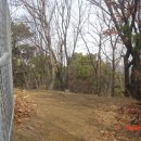 H8205 Daum카페