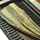 싱싱장어 이미지