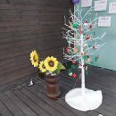 헤어드레서미용실 이미지