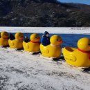 산정호수마을회 이미지