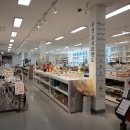 에델바움 이미지